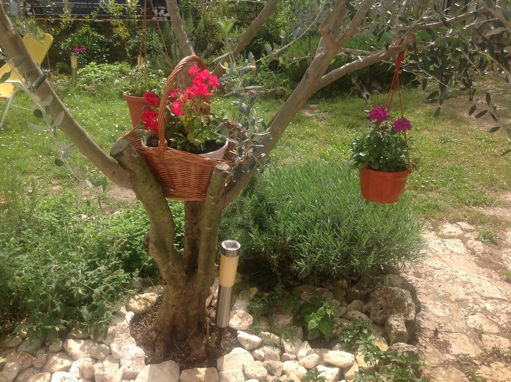 Holiday House Altea Banjole Bilik gambar